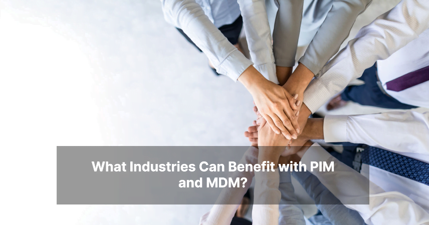 What Industries Can Benefit with PIM and MDM