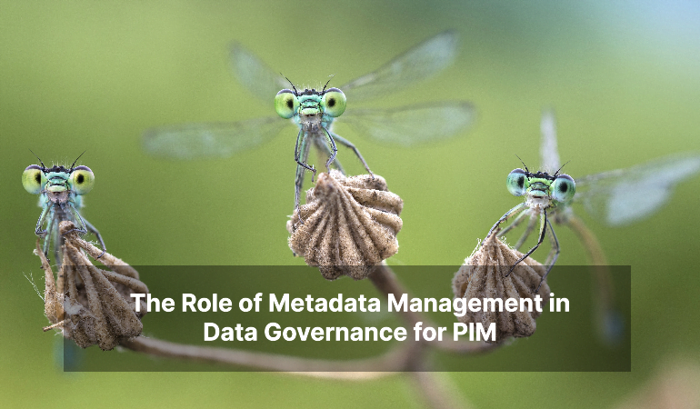 The Role of Metadata Management in Data Governance for PIM