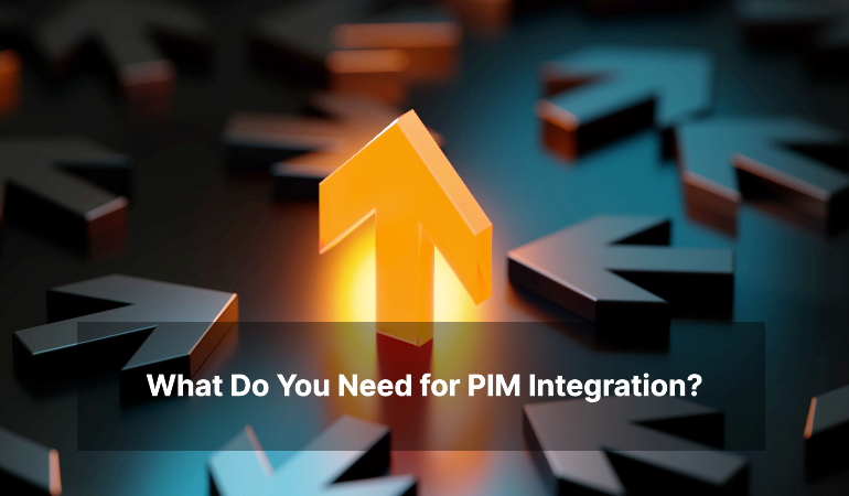 What Do You Need for PIM Integration?