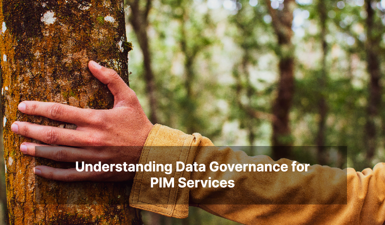 Understanding Data Governance for PIM Services