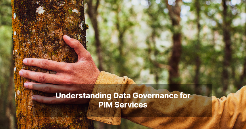 Understanding Data Governance for PIM Services