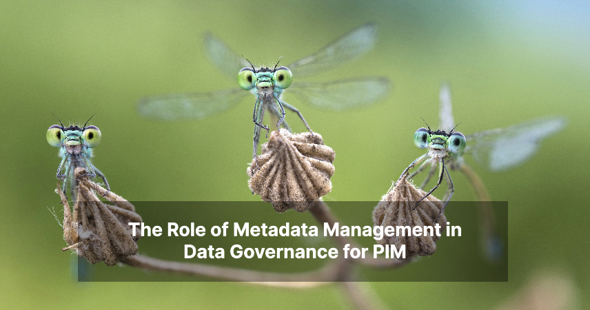 The Role of Metadata Management in Data Governance for PIM