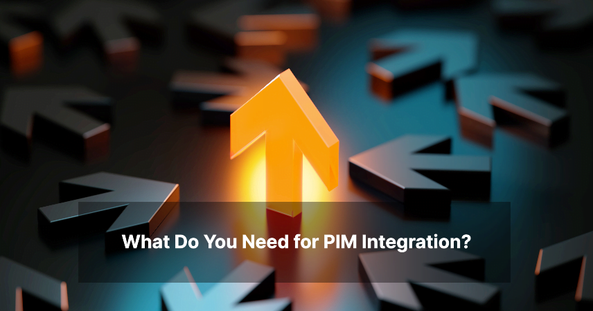 What Do You Need for PIM Integration?